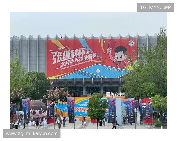 球迷N件事：最疯狂的应援互动瞬间，球赛应援