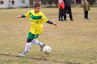 开云娱乐官网-CBA赛场激情四射青春无限,cba激情音乐